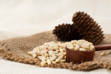 pine nutsの写真素材