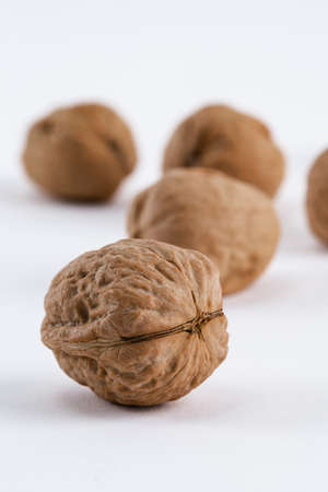 walnuts on white backgroundの写真素材