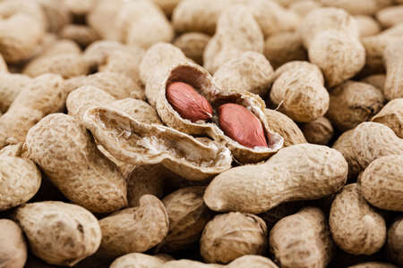 background of peanutsの写真素材