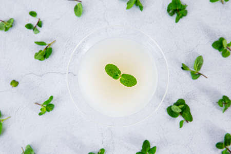 mint rice wine in cocktail glassの写真素材