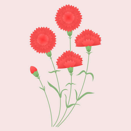 Vector illustration of red carnations.のイラスト素材