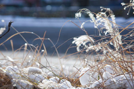 winter street scenery in Koreaの写真素材