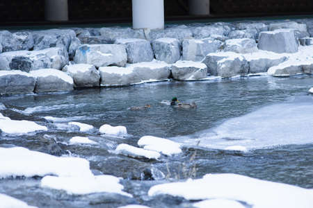 winter street scenery in Koreaの写真素材