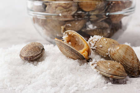 salted manila clam, white background