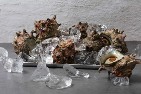 horned turban on trayの写真素材