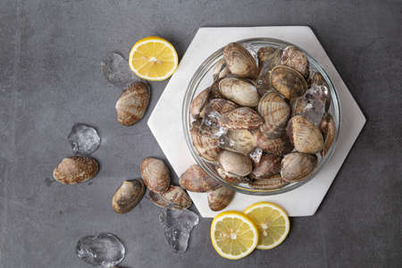 manila clams and lemonの写真素材