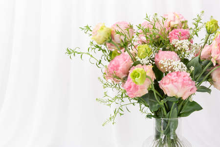 pink flower, white backgroundの写真素材