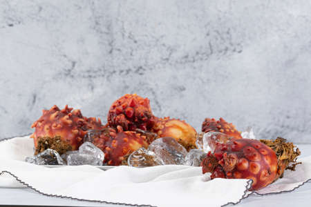 sea squirt on trayの写真素材