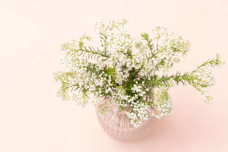 white flower in vaseの写真素材