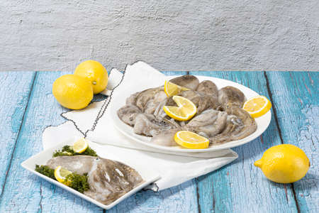 squid on table