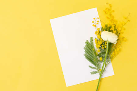 yellow flower, yellow backgroundの写真素材