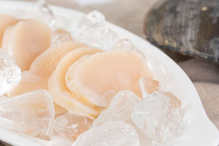 sliced pen shell and ice