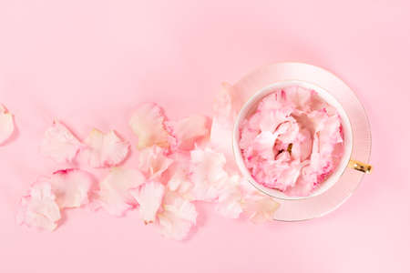flower buds in cup, pink backgroundの写真素材