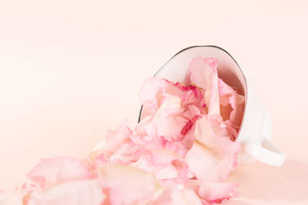 flower buds in cup, pink background