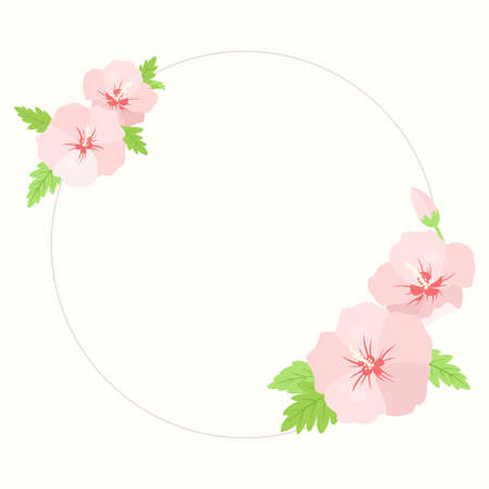 Vector illustration of pink hibiscus flower.のイラスト素材
