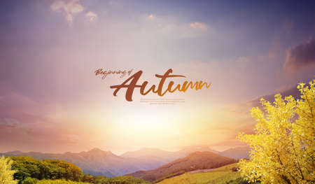 beginning of autumm, autumn landscape with golden light