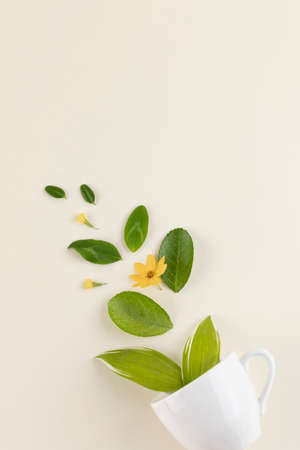 flowers and leaves in mug cupの写真素材