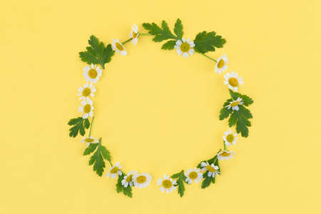 flower and leaf pattern frameの写真素材