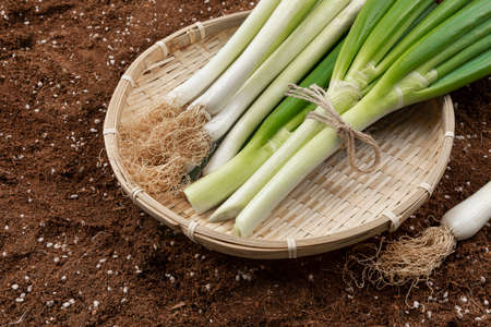 chopped green onion in basket, dirt background