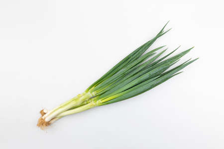 green spring onion, white backgroundの写真素材