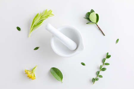 wild flower and leaves near mortal and pestleの写真素材