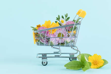 flowers and leaves in miniature cartの写真素材