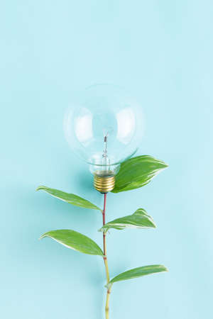 light bulb on plant like flowerの写真素材
