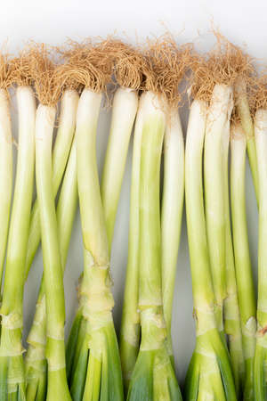 green spring onion, white backgroundの写真素材