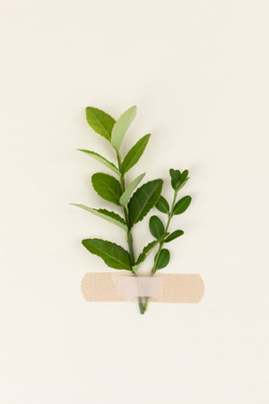 flower and leaves in bondageの写真素材