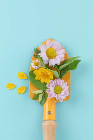 flowers and leaves on shovelの写真素材