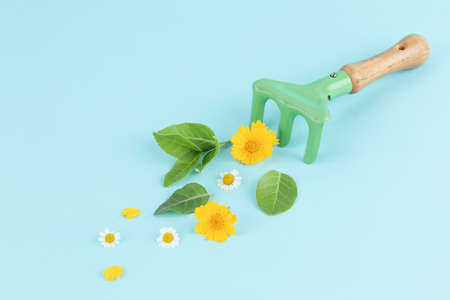 flowers and leaves placed next to the rake