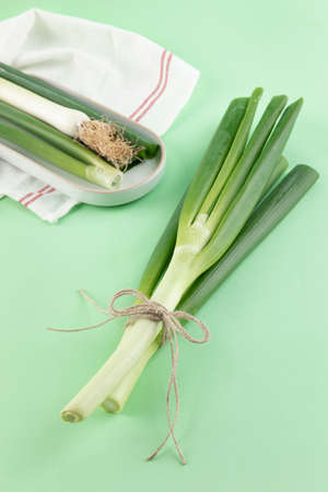 green onion on tray, green background