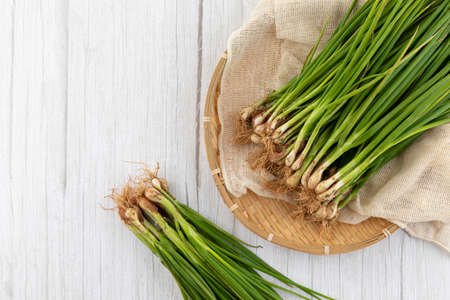 green spring onion in basket