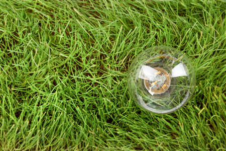 Transparent light bulb on green grassの写真素材