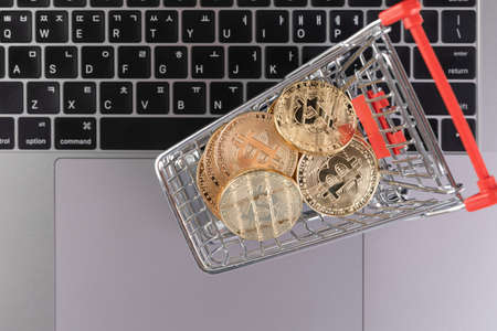 shopping cart miniature with bitcoin on laptop, cryptocurrency concept