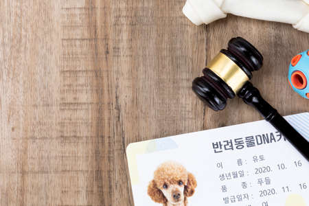 Crime and law - pet related law conceptの写真素材