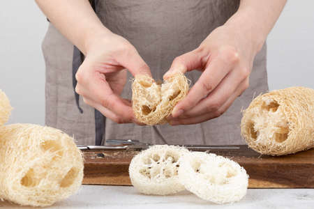 Zero waste - natural loofahの写真素材