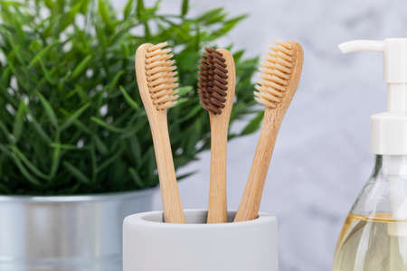 Zero waste - Bamboo toothbrush, baking soda, body oil, potted plant