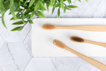 Zero waste - Bamboo toothbrushの写真素材