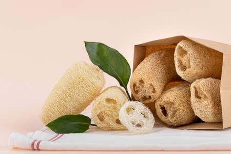 natural loofah, Zero Waste conceptの写真素材