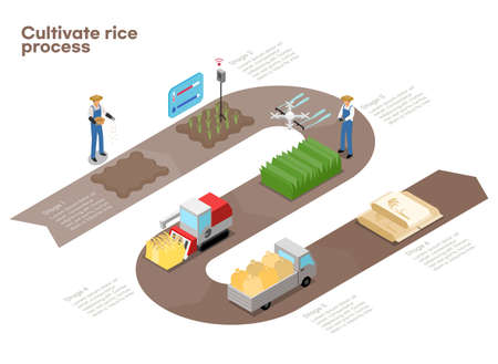 smart farm production process in isometric vectorのイラスト素材