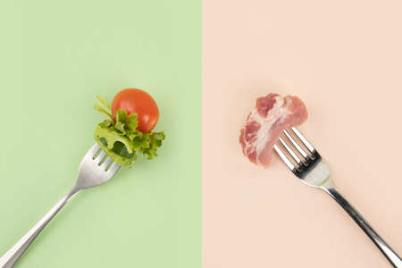 vegetarian and vegan food creative conceptの写真素材