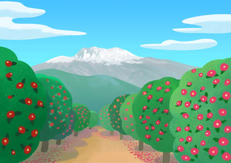 Camellia flowers and Hallasan view in Jeju of Koreaのイラスト素材