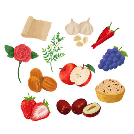 Specialties of Chungcheongbuk-do region of Koreaのイラスト素材