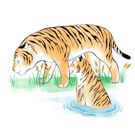 2022 year of tiger, two tigers playing in summer forestのイラスト素材