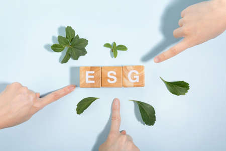 protect earth and environment concept, esg wooden box finger and plantの写真素材