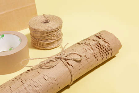 protect earth and environment concept, paper package