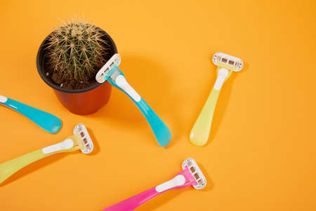 waxing products, razor and cactusの写真素材