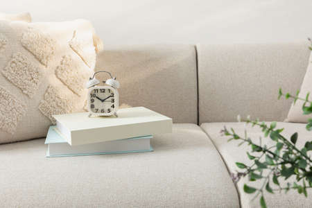 relax cozy objects and background with sofa, cushion, a bookの写真素材