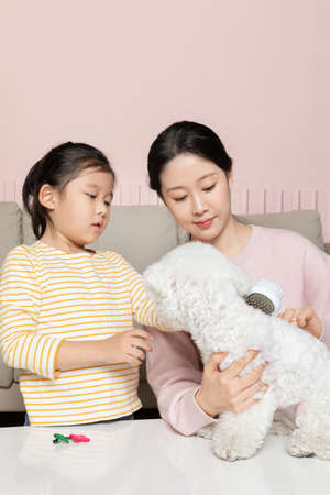 Asian Korean mother and daughter brushing a puppy dog